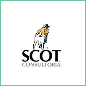 scot_consultoria